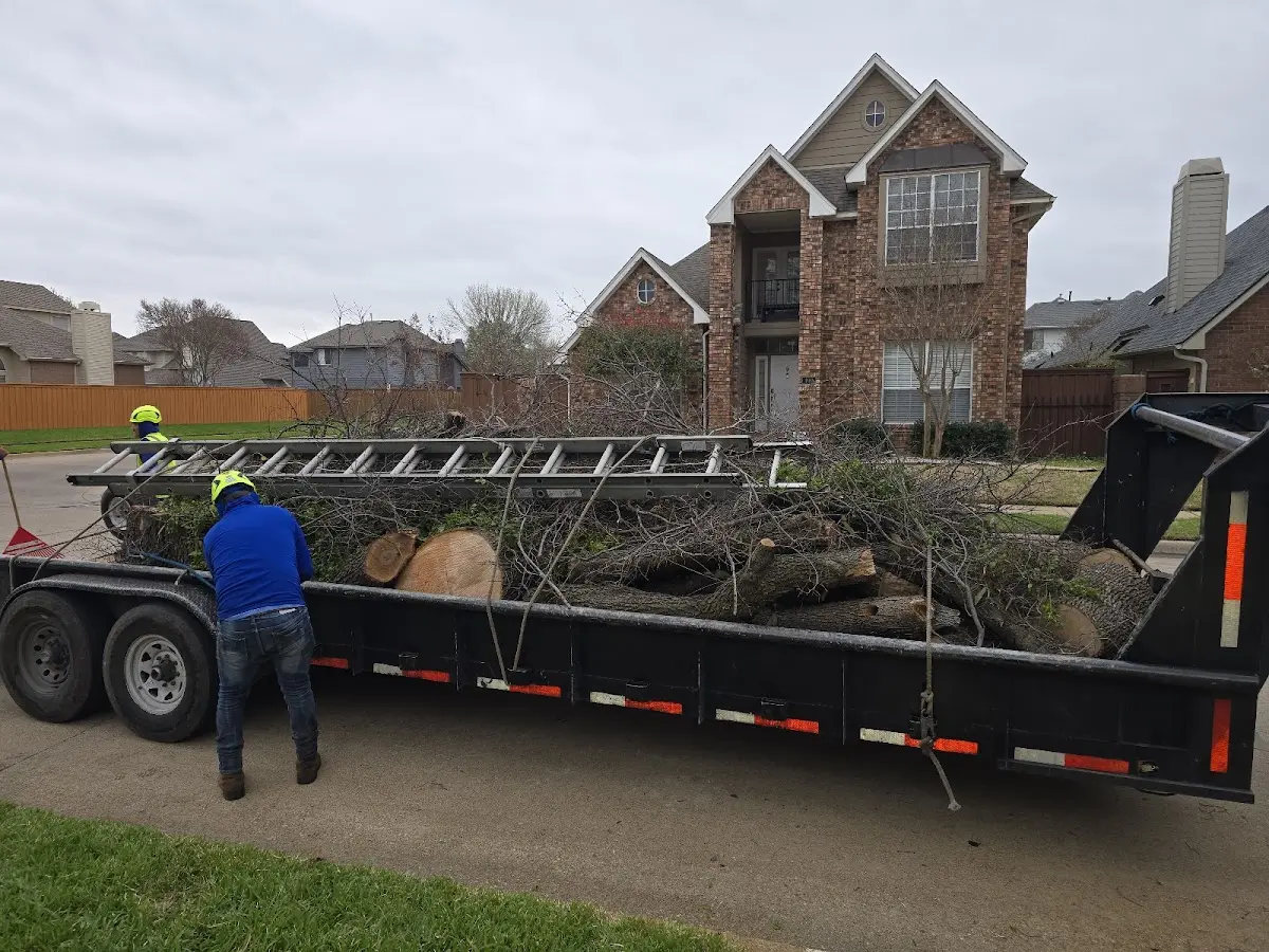 Expert Lot Clearing with proper safety equipment in Randlett